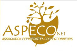 Logo de l'ASPECO